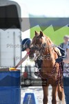 ref. photo 3550281