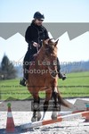 ref. photo 3550296