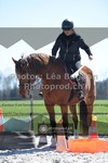 ref. photo 3550301