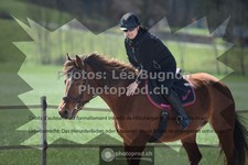 ref. photo 3550303