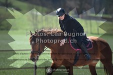 ref. photo 3550304