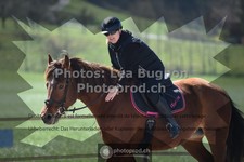 ref. photo 3550305