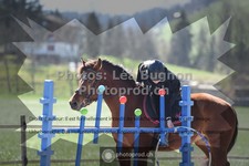 ref. photo 3550306