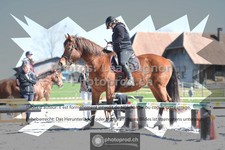 ref. photo 3550314