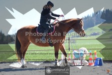ref. photo 3550315