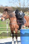 ref. photo 3550316