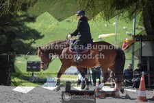 ref. photo 3550318