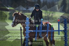 ref. photo 3550322