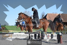 ref. photo 3550328