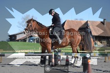ref. photo 3550329