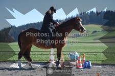 ref. photo 3550330