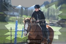 ref. photo 3550334