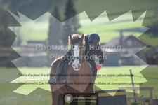 ref. photo 3550337