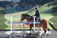 ref. photo 3550340