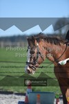 ref. photo 3550349