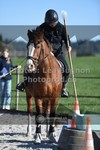 ref. photo 3550350