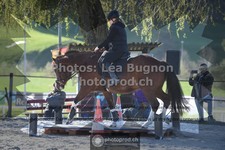 ref. photo 3550353