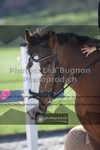 ref. photo 3550356