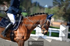 ref. photo 3550359