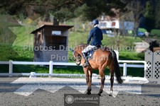 ref. photo 3550365
