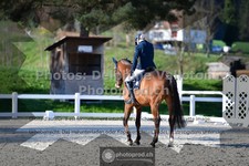 ref. photo 3550366