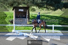 ref. photo 3550367