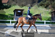 ref. photo 3550368