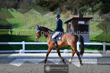 ref. photo 3550370