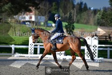 ref. photo 3550375