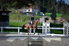 ref. photo 3550377