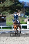 ref. photo 3550383