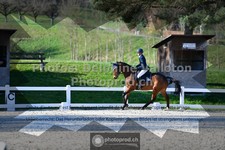 ref. photo 3550385