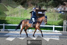ref. photo 3550388