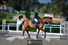 ref. photo 3550389