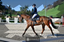 ref. photo 3550392
