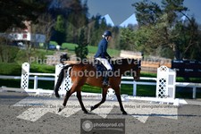 ref. photo 3550393