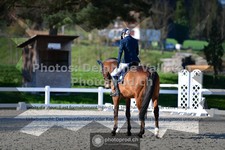 ref. photo 3550398