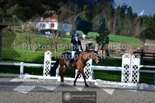 ref. photo 3550399