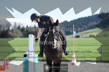 ref. photo 3550404