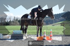 ref. photo 3550407
