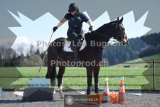 ref. photo 3550409