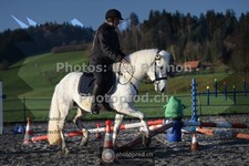 ref. photo 3550419