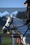 ref. photo 3550420