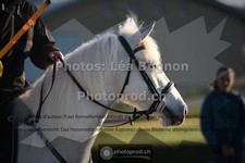 ref. photo 3550425