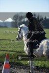 ref. photo 3550430