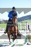 ref. photo 3550435