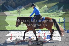 ref. photo 3550436