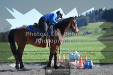 ref. photo 3550439