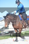 ref. photo 3550441
