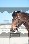 ref. photo 3550442